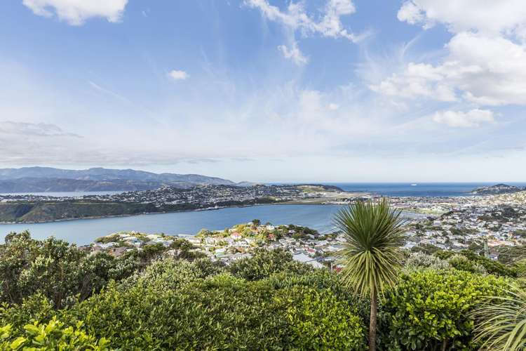 14 Alexandra Road Roseneath_21