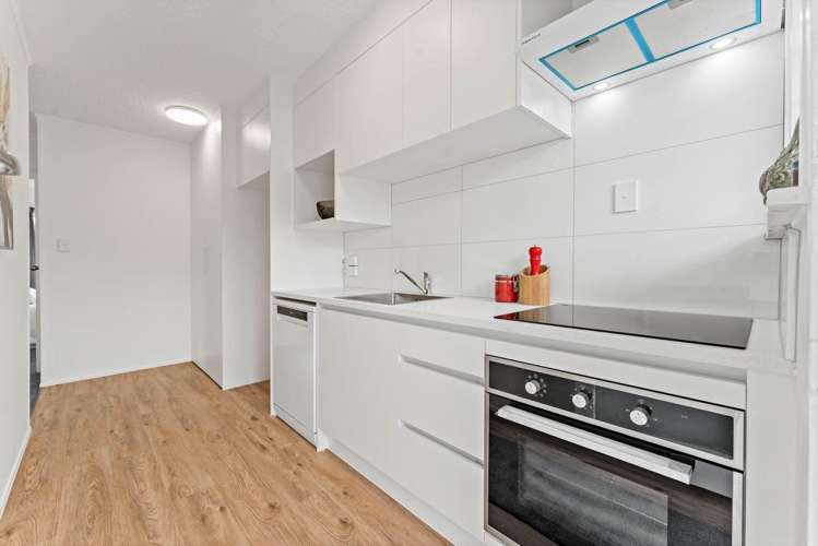 1/6 Atkinson Avenue 10057_1