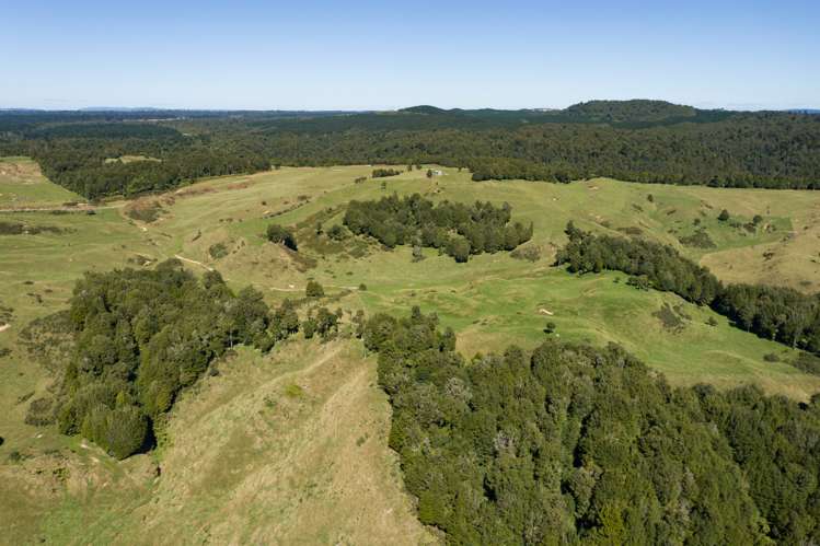 2140 Pyes Pa Road Kaimai_7