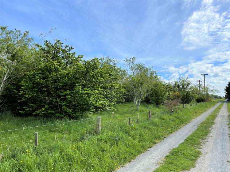 25 Newport Street Milton_5