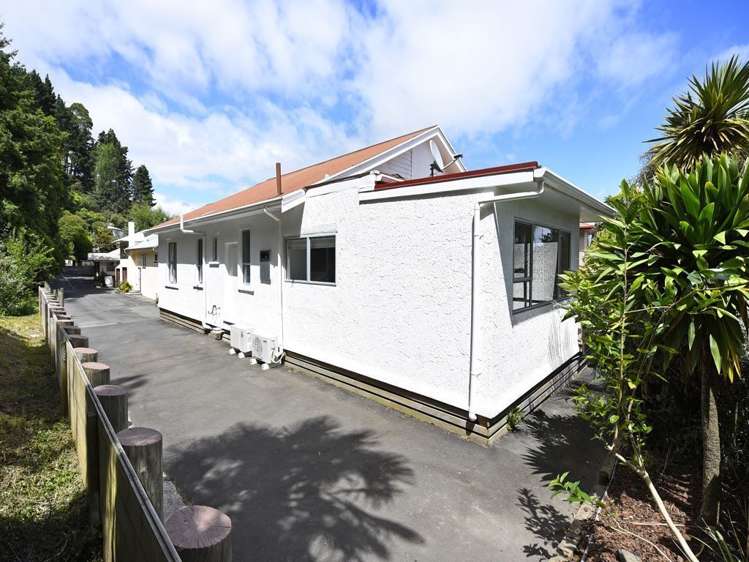 119c Grove Street The Wood_15