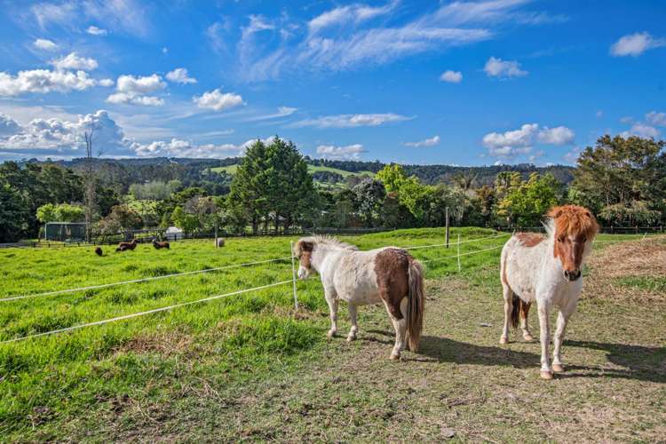 177 Mclennan Road Whakapara_16