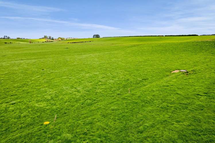 226 Ngarongo Road Normanby_24