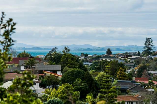 98 John Downs Drive Browns Bay_2