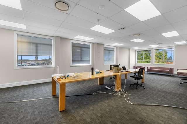 20 Alma Street Hamilton Central_1