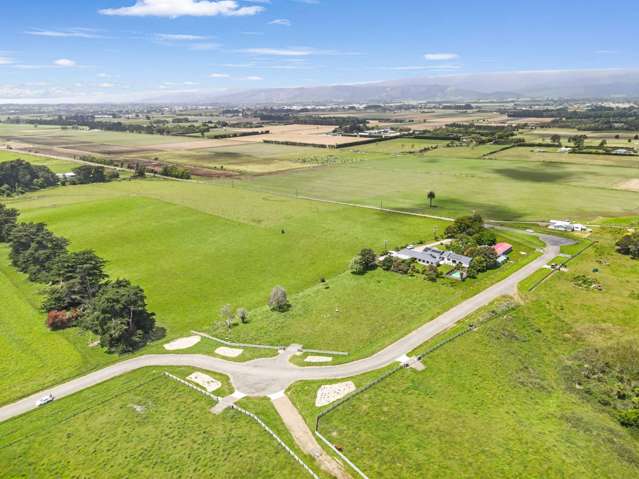 20 Whio Grove Hokio Beach_2
