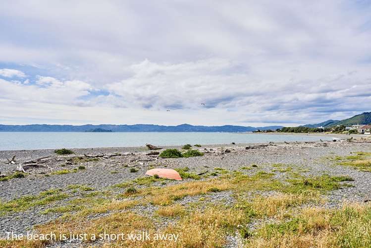 3/3 Kowhai Street Eastbourne_15