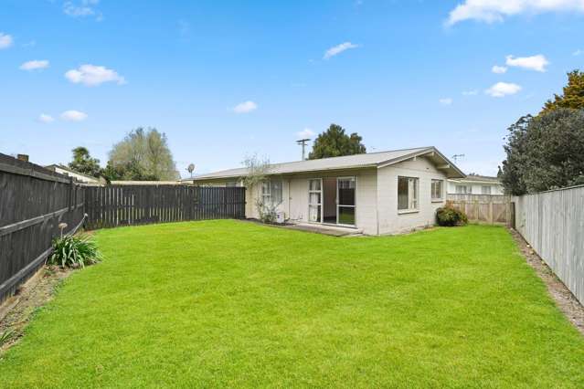 91B Rimu Street 2752_2