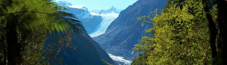 Betsey Jane Eatery & Bar Fox Glacier_14