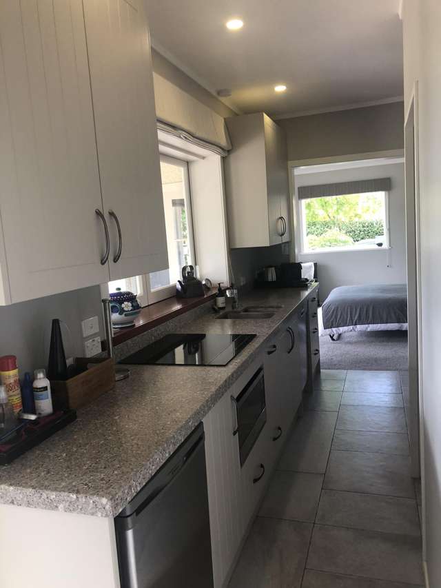 15 Allum Street Kohimarama_2