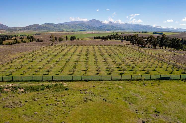 267 Springvale Road Alexandra_18