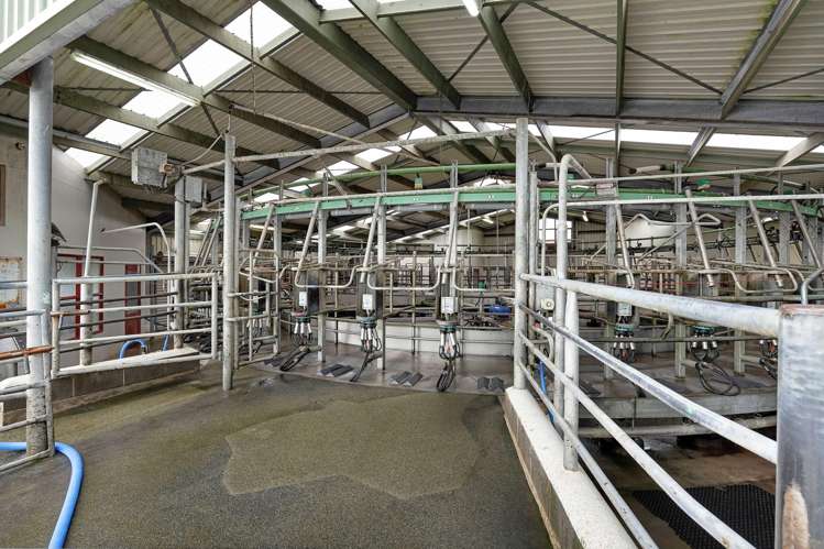 677 Newall Road Newall_8