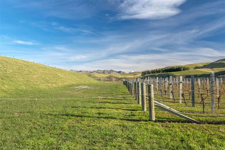 5468 State Highway 1 Seddon_15