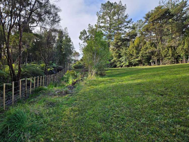 291 Horseshoe Bush Road Dairy Flat_20