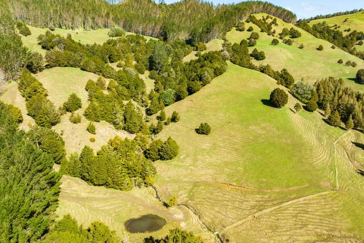 255 O'Carroll Road Maungakaramea_10