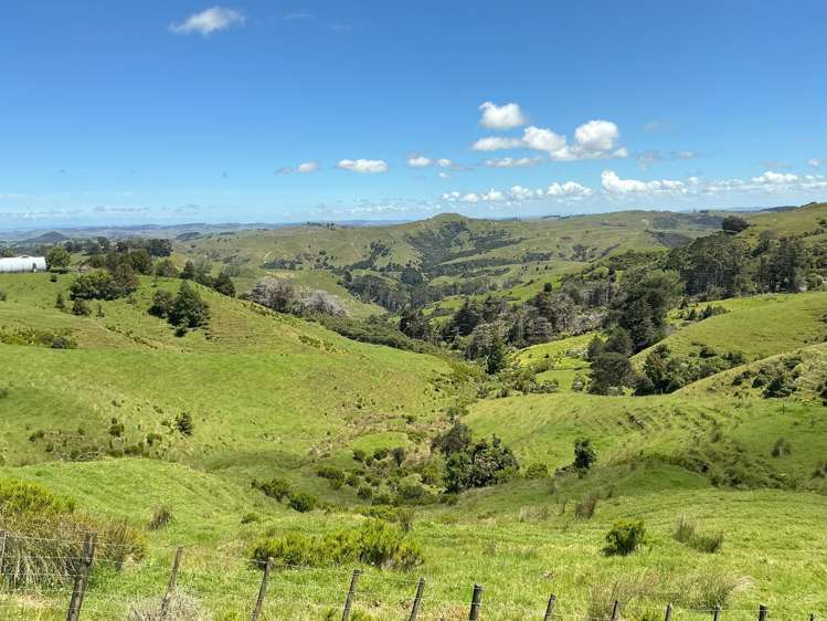 Lot 3 DP539905 Dill Road Kaipara Flats_10