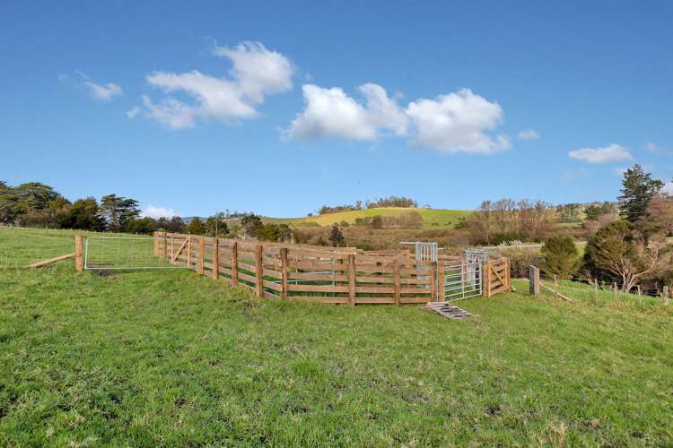 86 Mangapai Road Mangapai and Surrounds_24