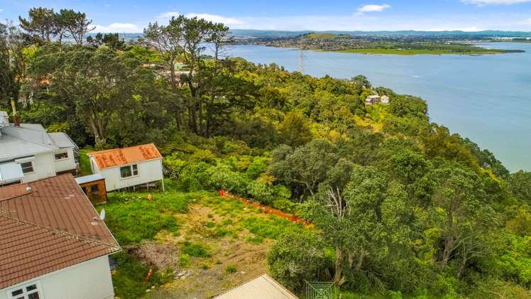 372a Hillsborough Road Hillsborough_8