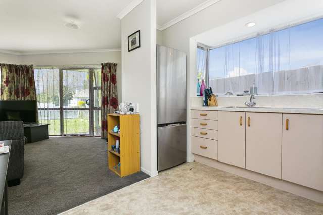 1a Allenby Road Matamata_2