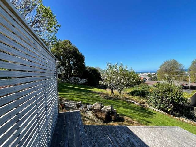 90B Reed Street Oamaru_1