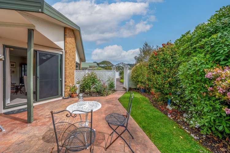 5 Ebury Mews Taradale_14