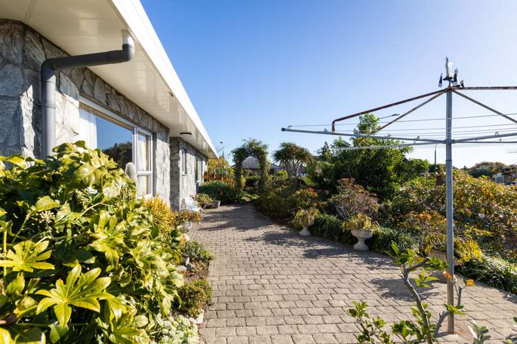 166 Heta Road Highlands Park_19