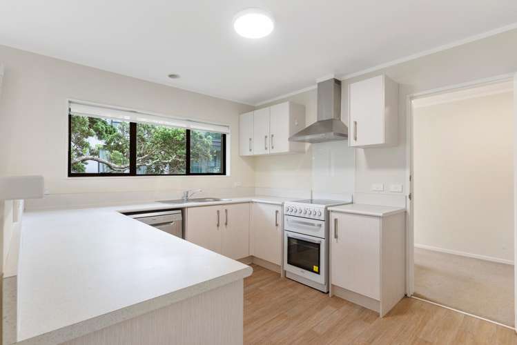 6 Valley Road Browns Bay_7