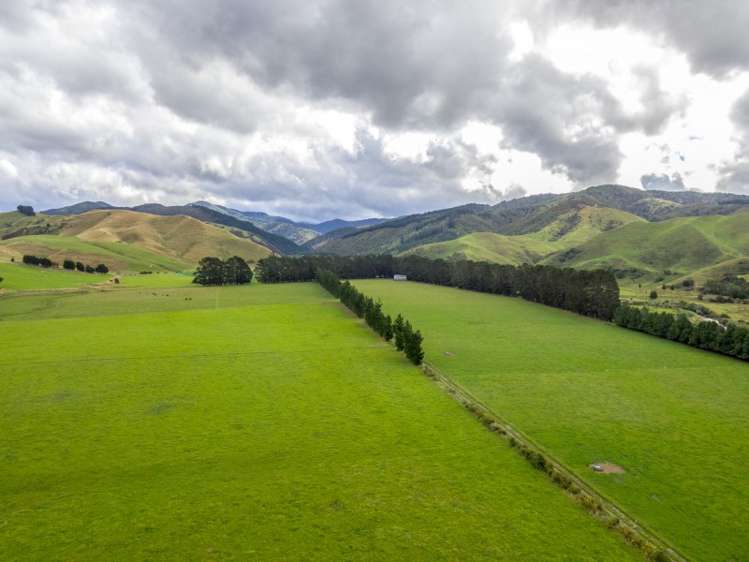 85274 State Highway 2 Eketahuna_12