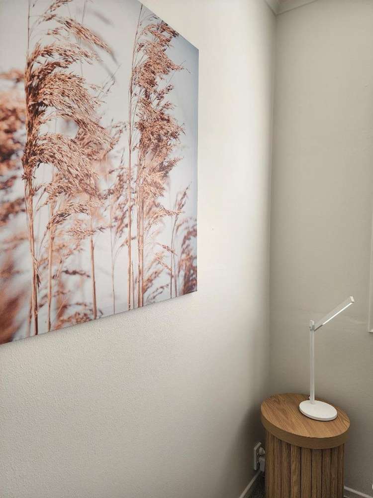 48a Pitcairn Street Oakura_14