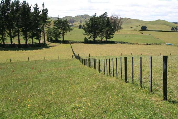 85 Gordon Road Stratford_8