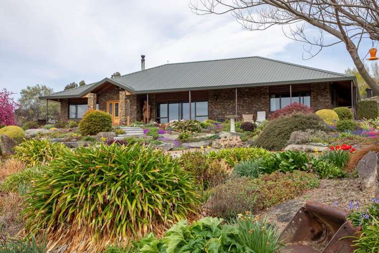 376B Earnscleugh Road Earnscleugh_28