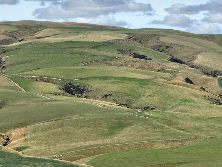 665-901 Tima Burn Road Teviot_3