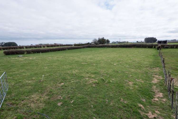 3928 Mountain Road Cardiff_26