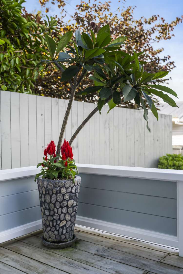 2/9 Lancaster Road Beach Haven_16