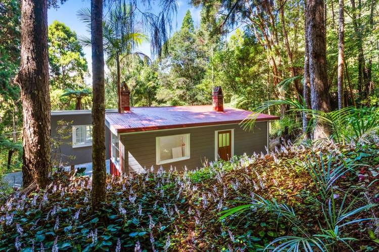 12 Kauri Loop Road Oratia_21