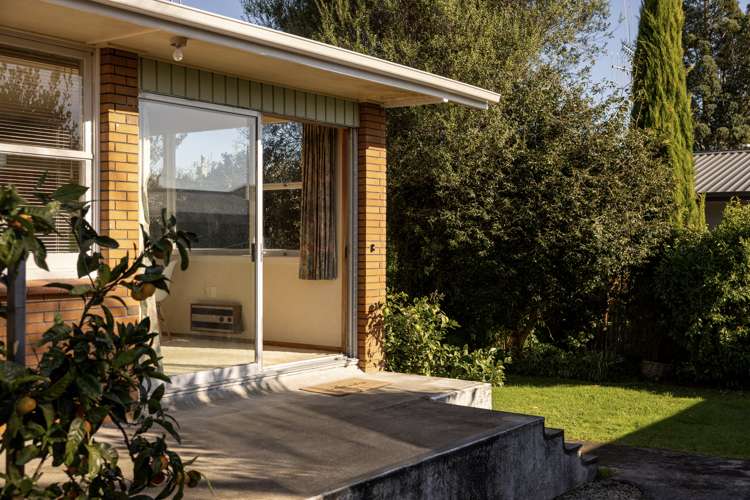 11 Rimu Street_0