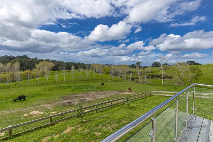 107 Turley Road Dairy Flat_15