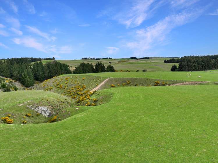 267 (Farm) Wehenga Road Hindon_8