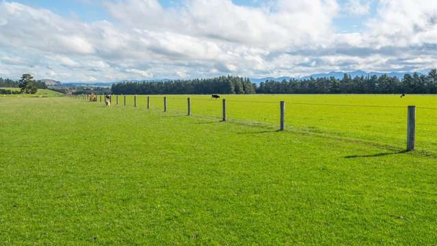 257 Lyndon Road Waiau_1