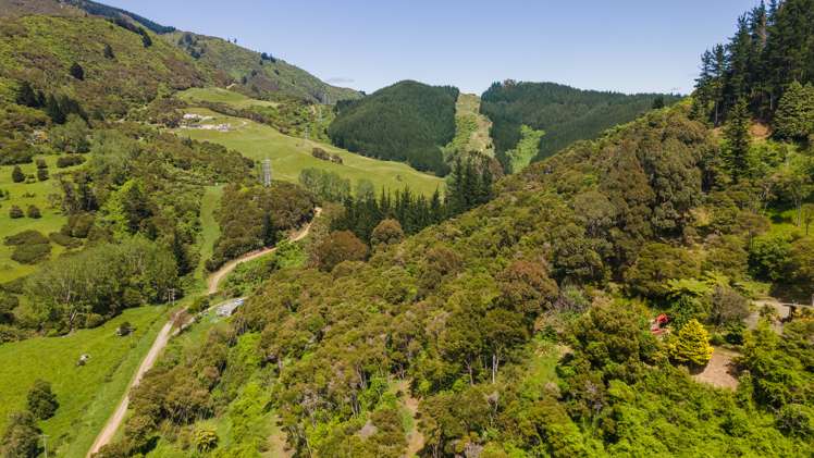 586 Brook Street The Brook_14