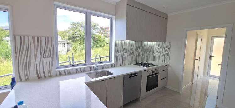 1139 Dominion Road Mount Roskill_2