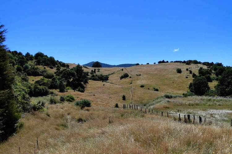 135 Canaan Road Kahurangi National Park_13