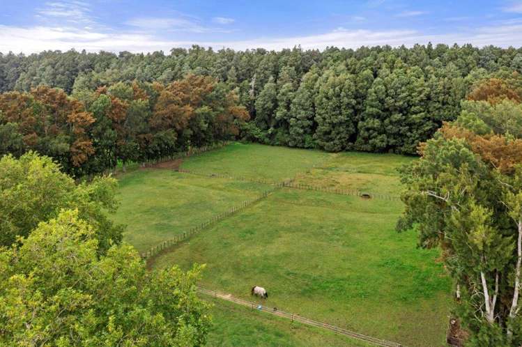 248A Tauwhare Road Tamahere_42