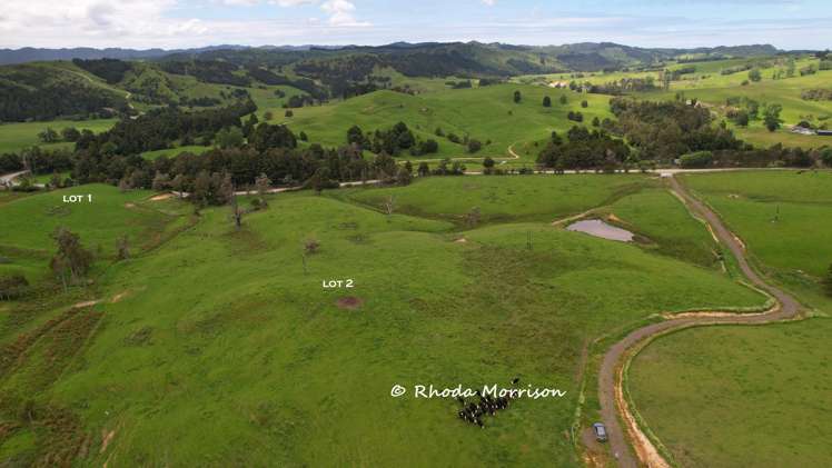 Golden Stairs Rd Maungaturoto_18