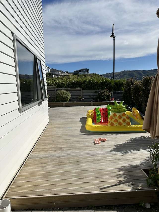 21 Ken Douglas Drive Aotea_2