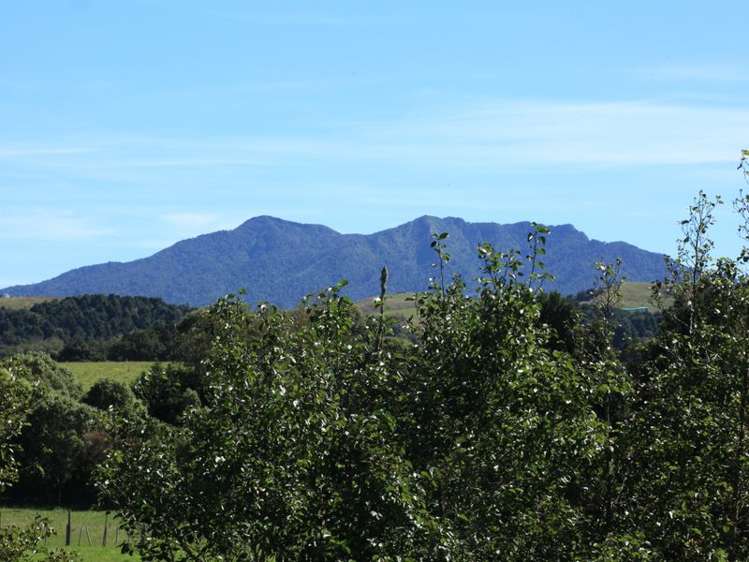 50 Pond Road Raglan_18