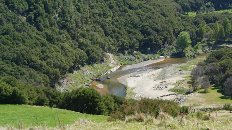 1050 Ellis Wallace Road Eskdale_15