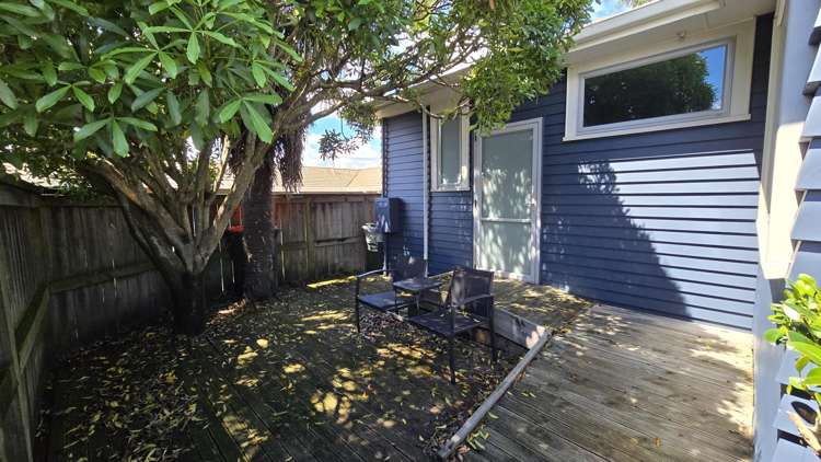 103A Fifteenth Avenue Tauranga South_11