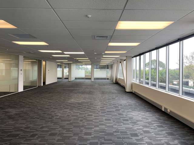 1 Marewa Road Greenlane_2