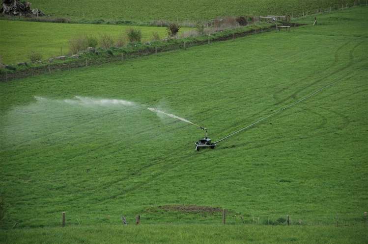 21 Grayden Road Morrinsville_19